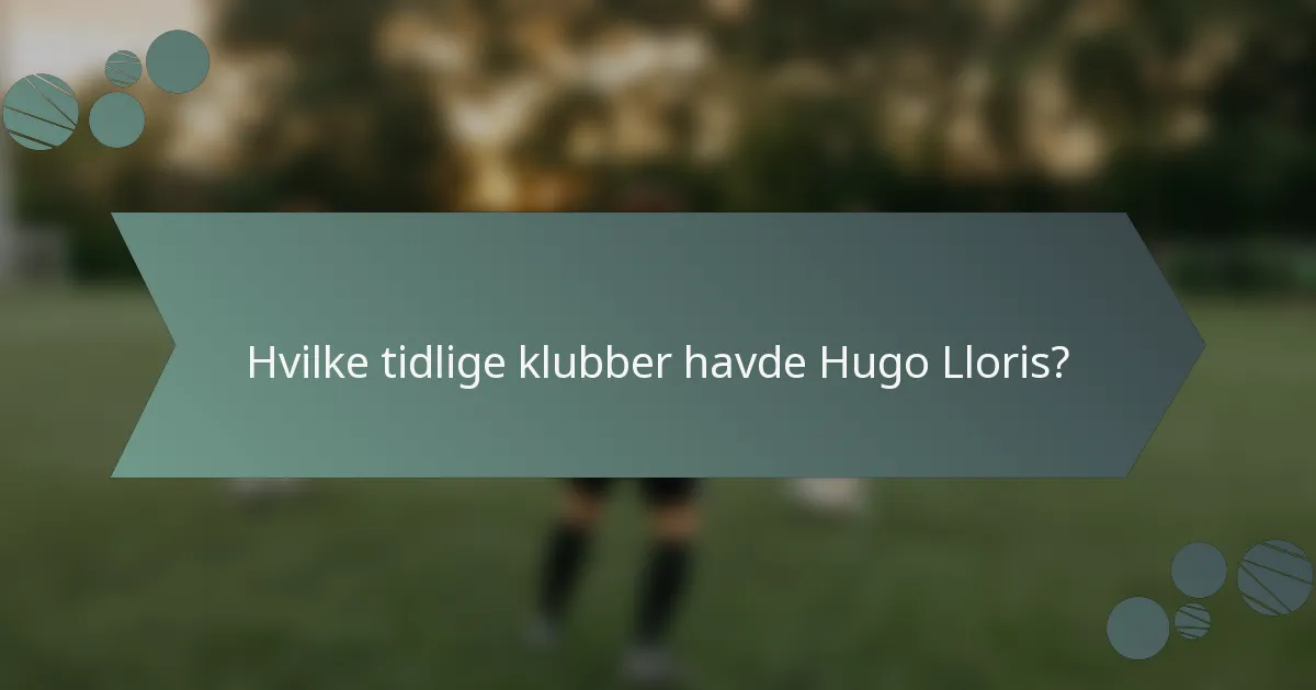 Hvilke tidlige klubber havde Hugo Lloris?