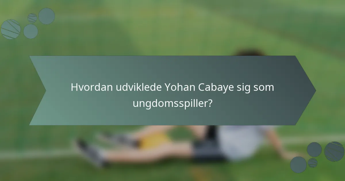 Hvordan udviklede Yohan Cabaye sig som ungdomsspiller?